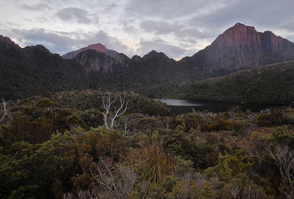 Dawn Light on Mount Anne and Lightening Ridge from the Lonely Tarns